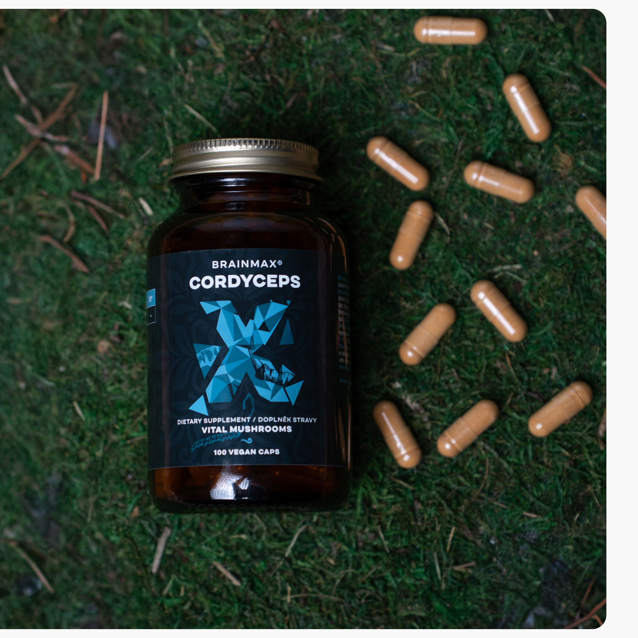 cordyceps produkt_6